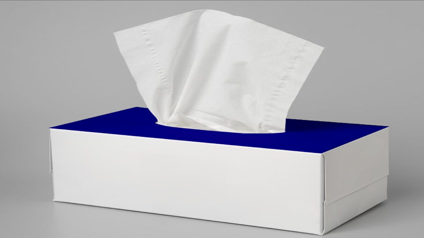Tissue box template preview
